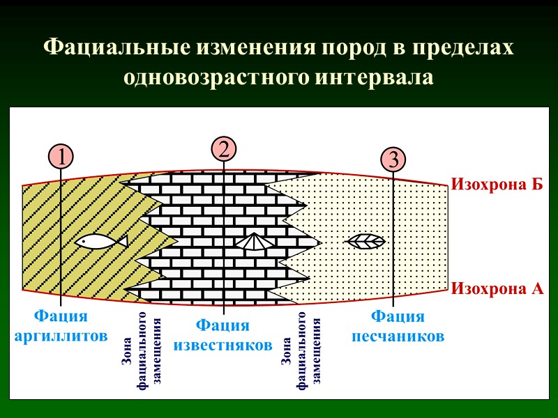 Фациальные изменения пород в пределах одновозрастного интервала
